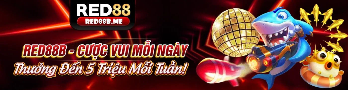 Lịch sử và phát triển của b789